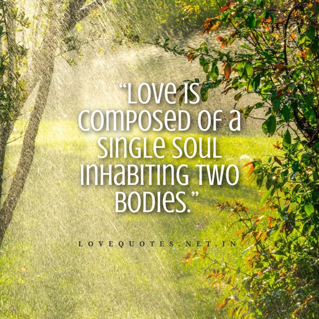 Love is composed of a single soul